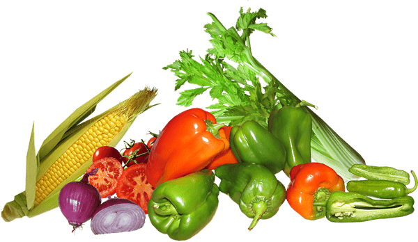 UrbanEdge Organic Farming